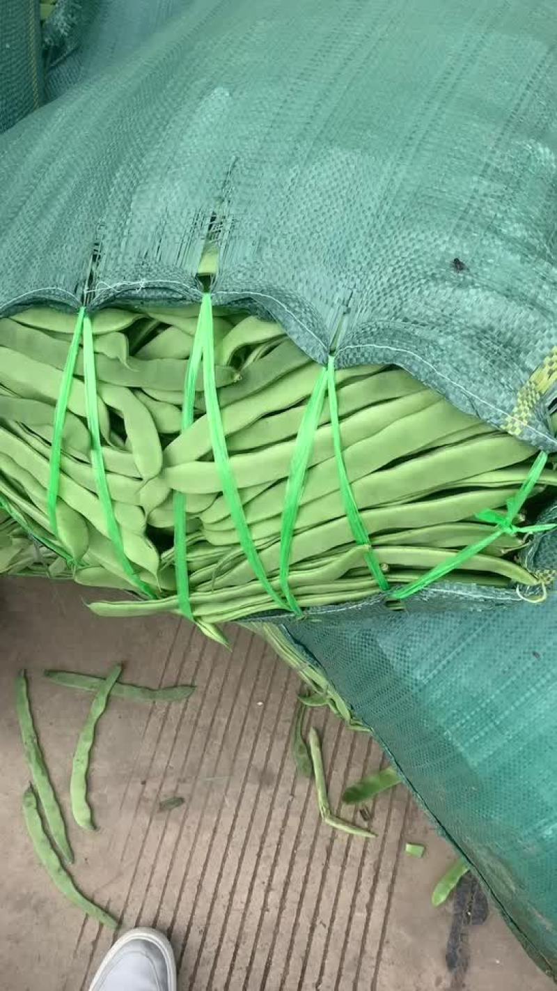 大扁小金豆