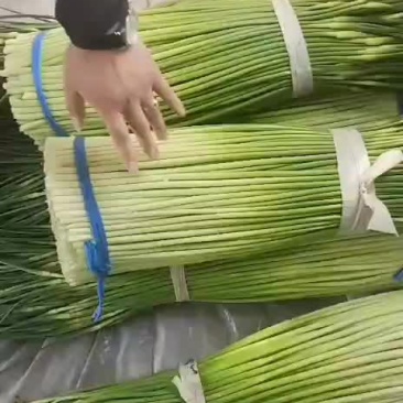 蒜苔大量上市