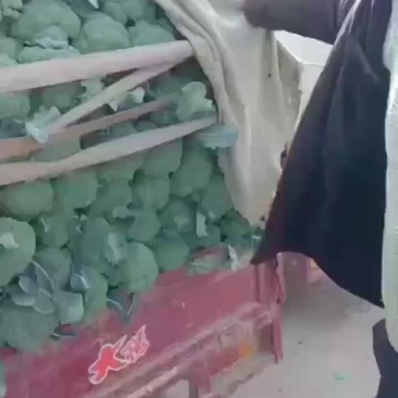 陕西西兰花上市价格不高