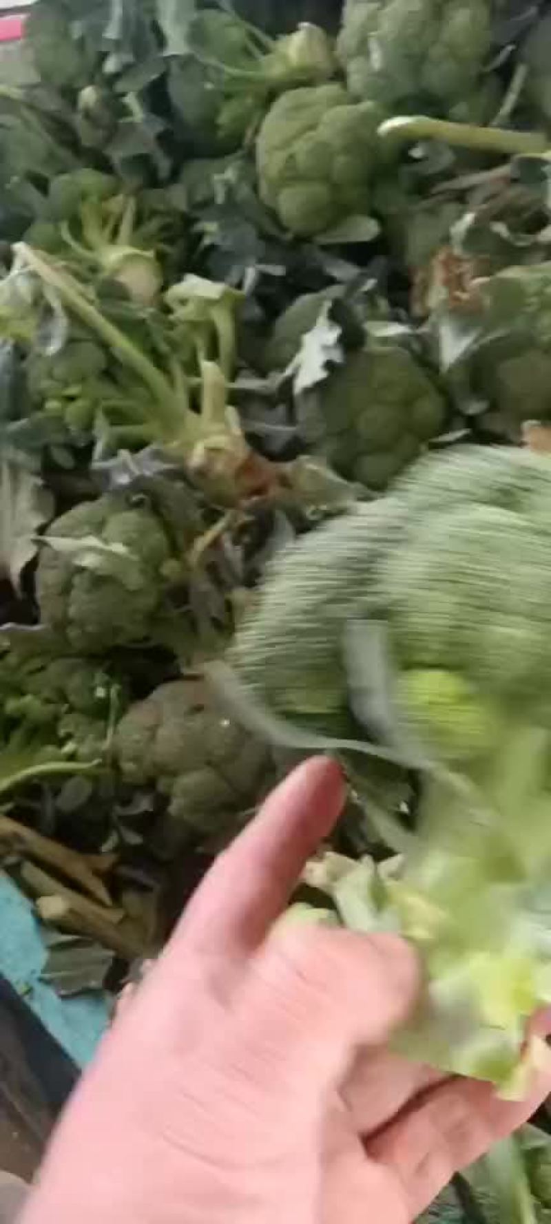 陕西西兰花上市价格不高