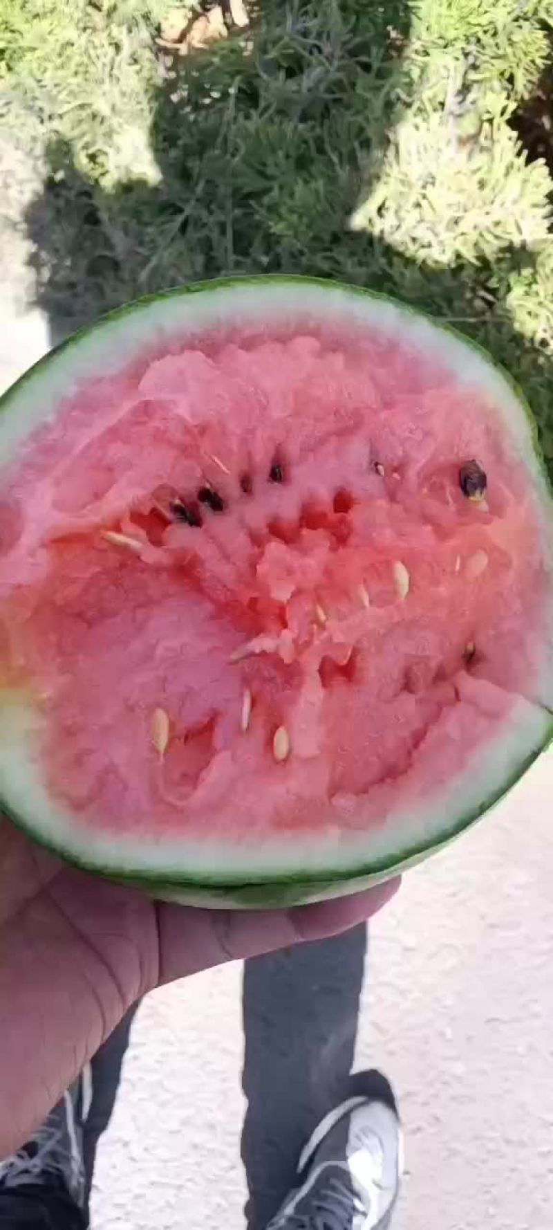 西瓜2k