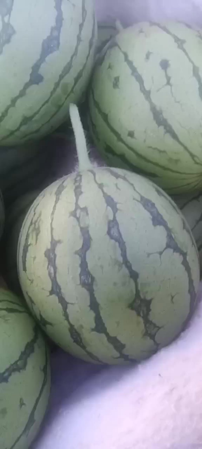 西瓜2k