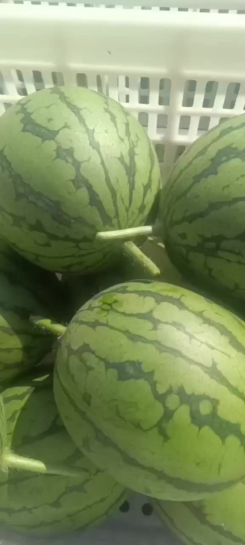 西瓜2k