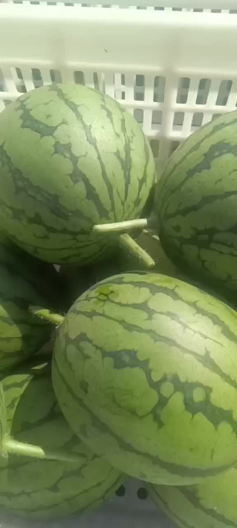 西瓜2k