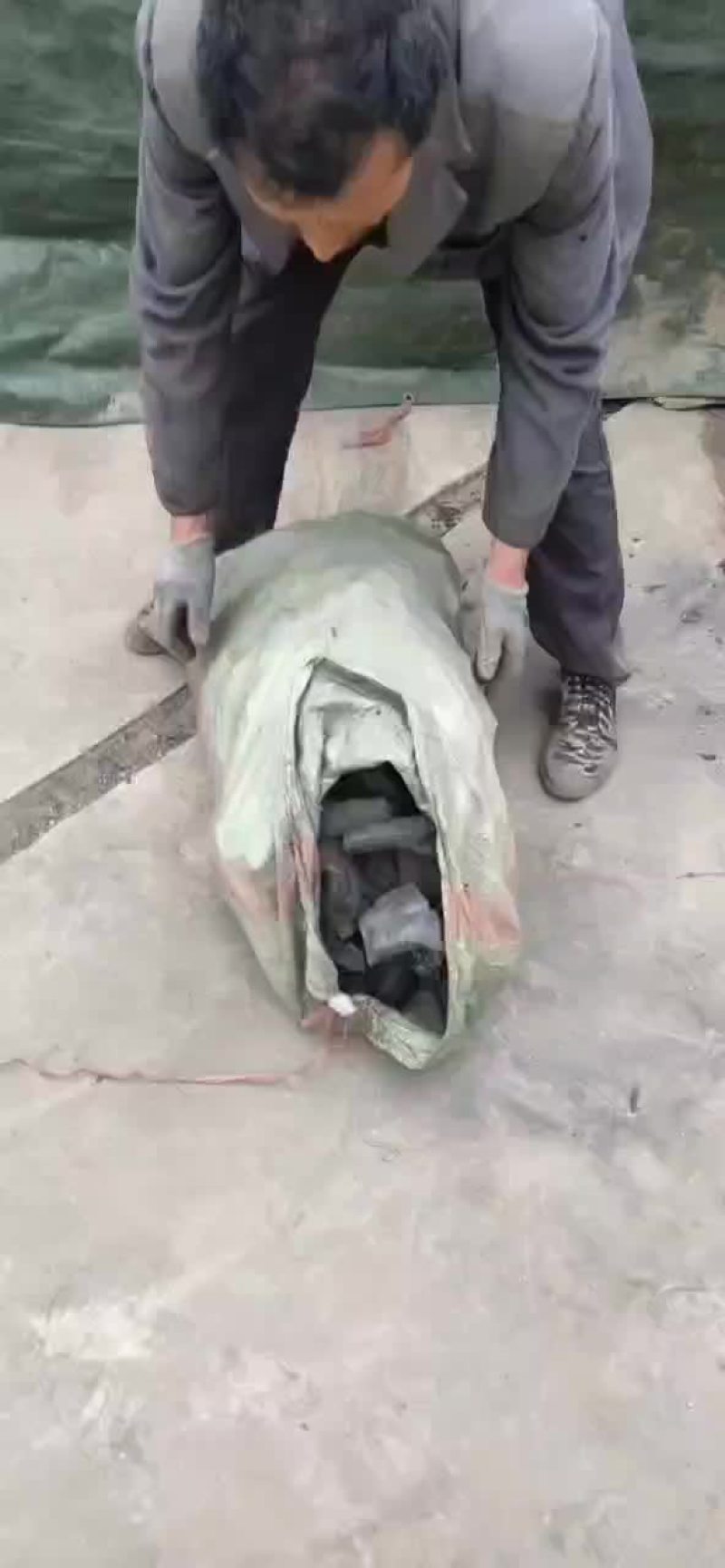 烧烤炭果木炭厂家直销
