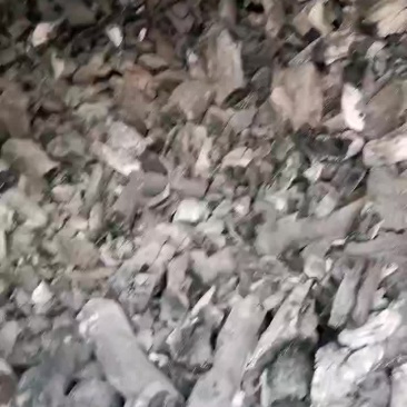烧烤炭果木炭厂家直销