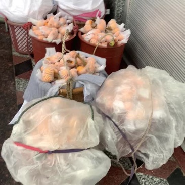 云霄水果枇杷，新鲜水果