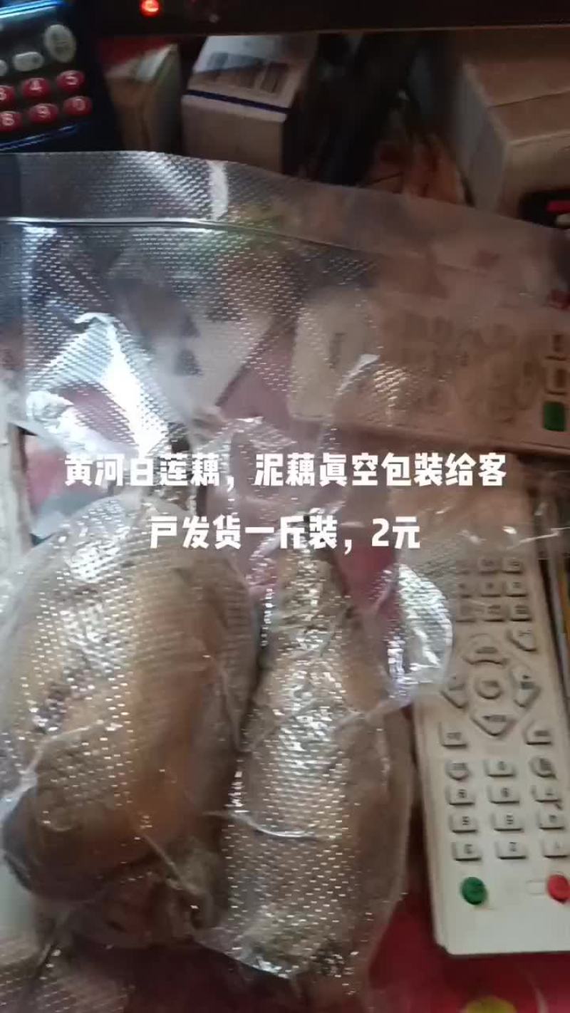黄河白莲藕发货中，一年四季有货