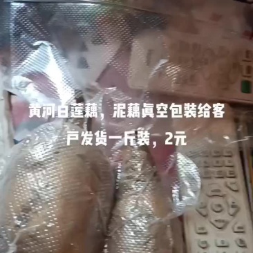 黄河白莲藕发货中，一年四季有货