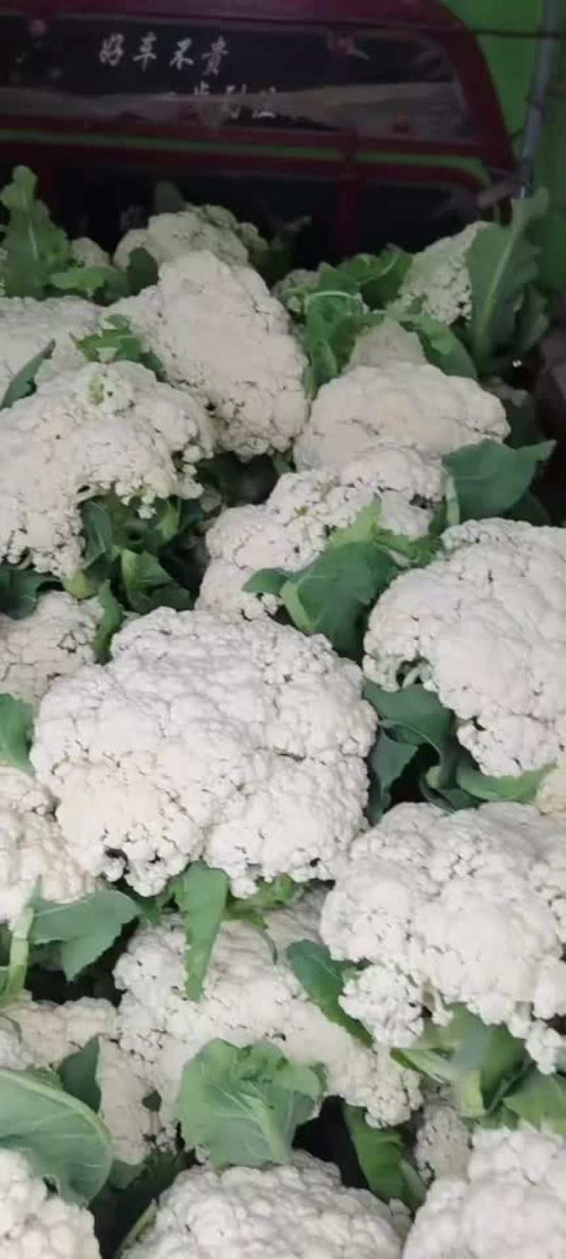陕西松花，有机菜花上市，需要的老板联系