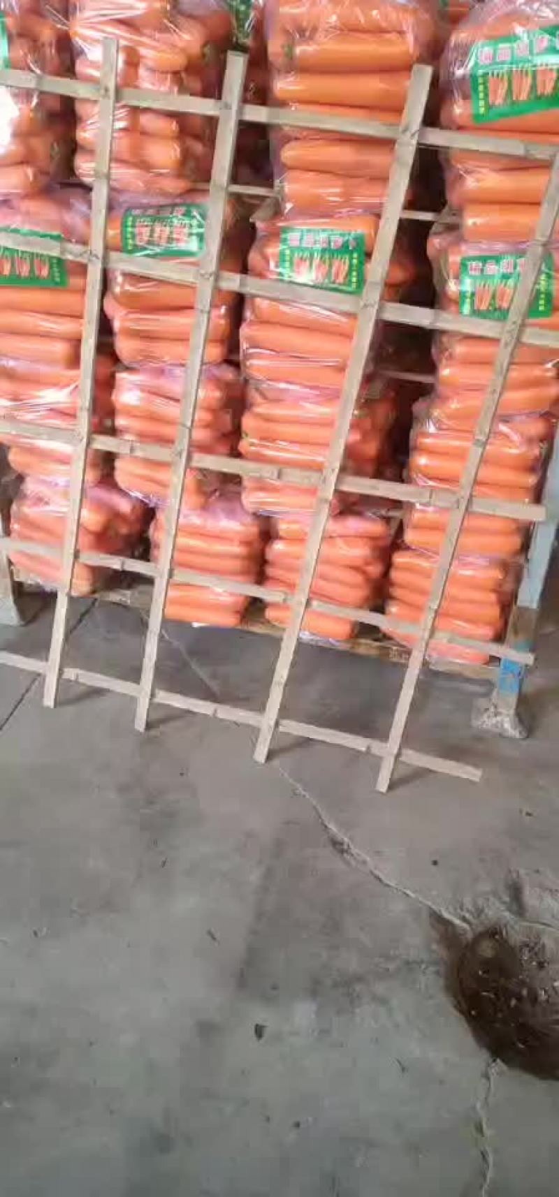 陕西松花，有机菜花上市，需要的老板联系