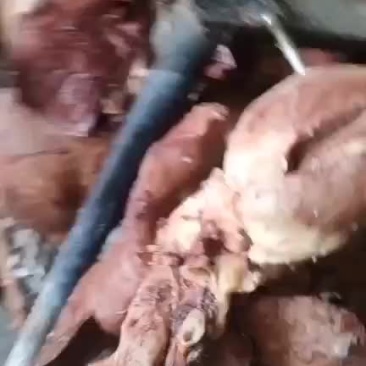 纯干羊心肝肺