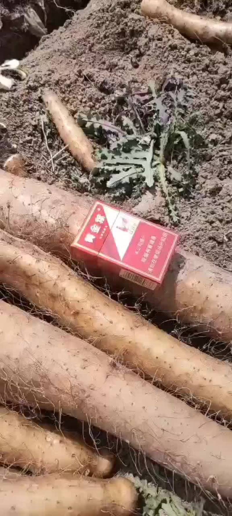 山药