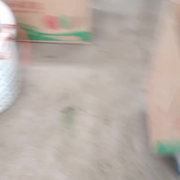 货多多