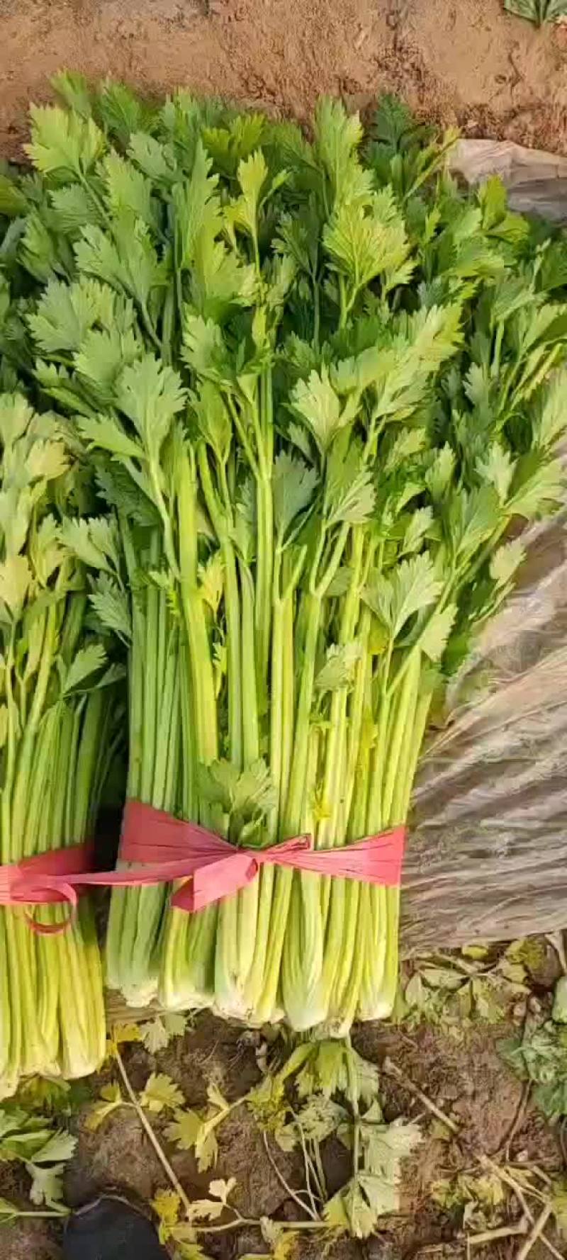 大芹菜