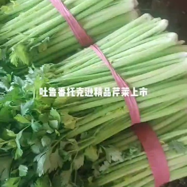大芹菜