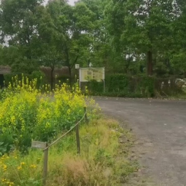 成都温江区农场转让，47亩，到成都市区20分钟车程