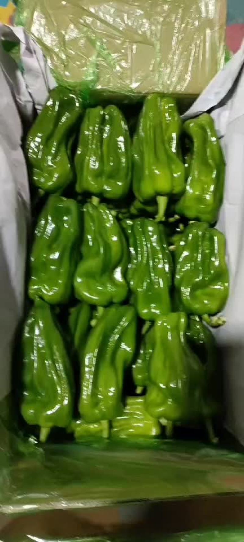 麻辣椒质量好，大量有货