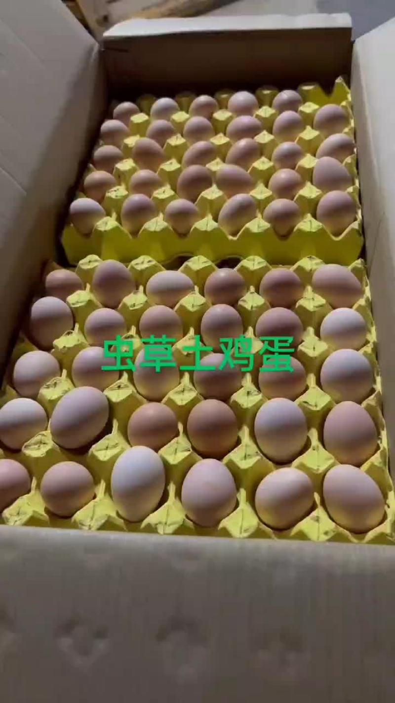 虫草土鸡蛋