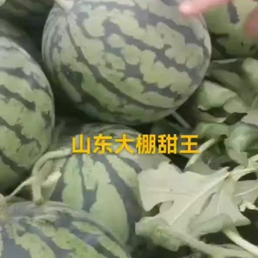 甜王西瓜