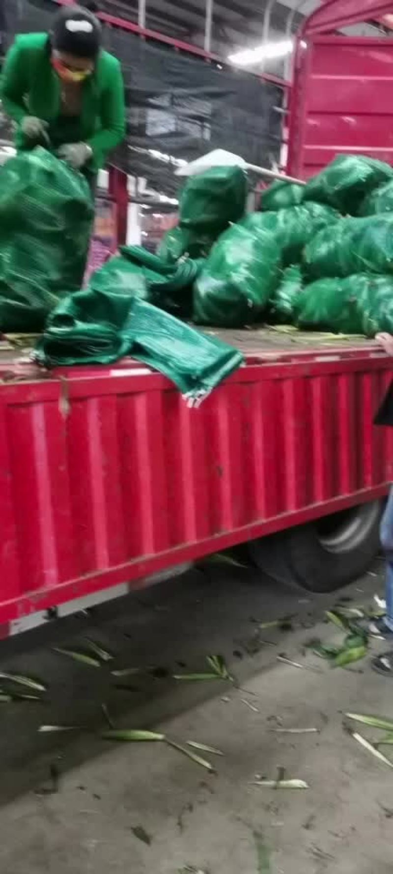 大量批发代卖的玉米