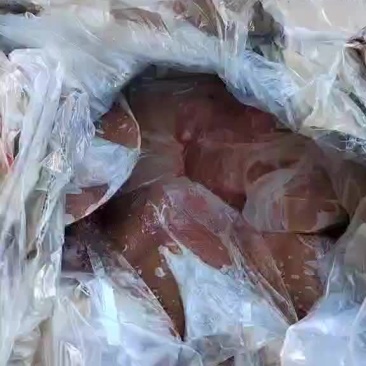 羊副产品