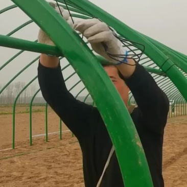 包塑管养殖棚厂家直销种植棚连动棚
