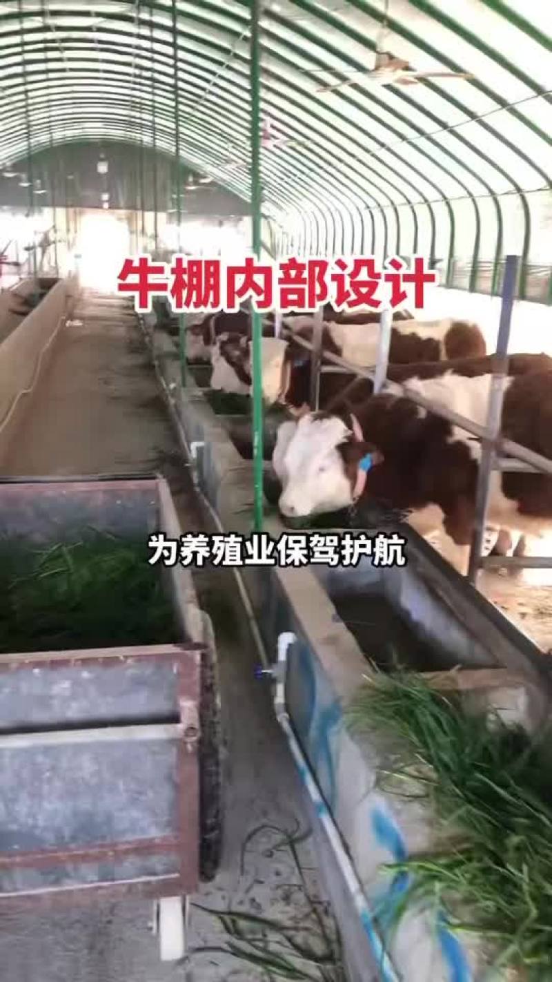 包塑管养殖棚厂家直销种植棚连动棚