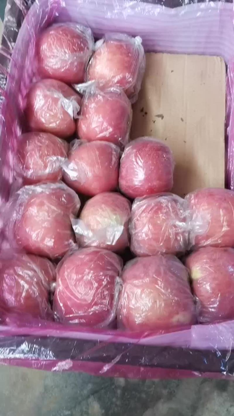 冰糖心红富士