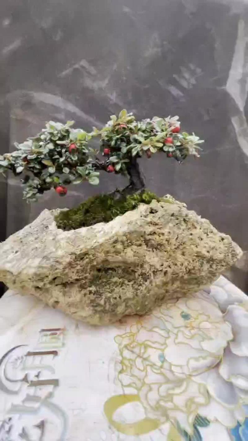荀子