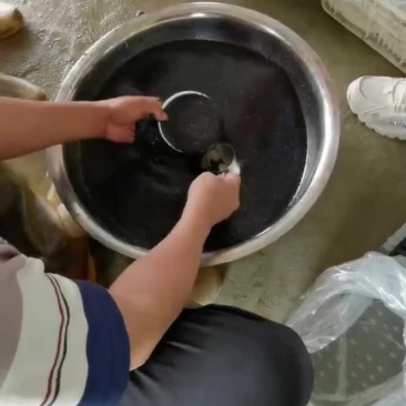牛蛙苗，