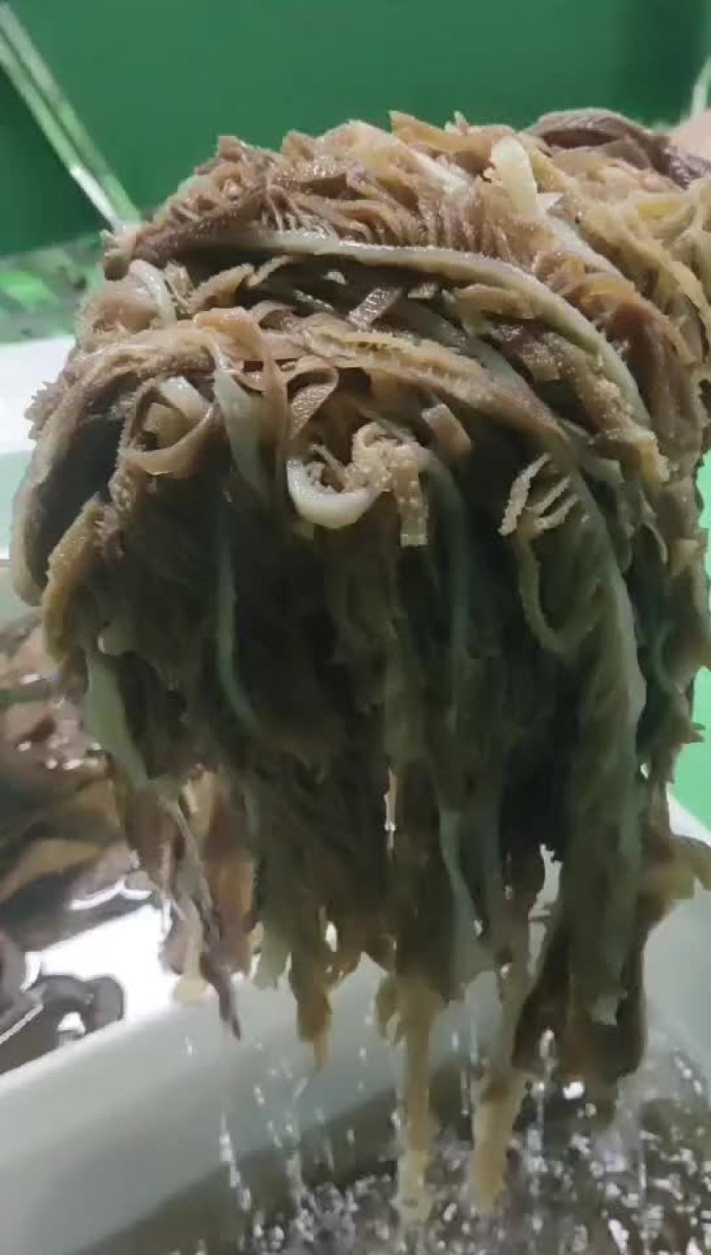 黑千层肚，火锅，中餐