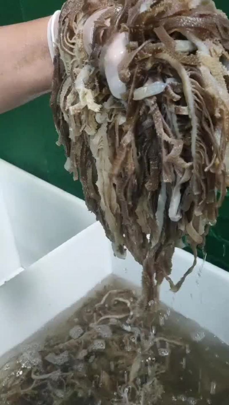 黑千层肚，火锅，中餐