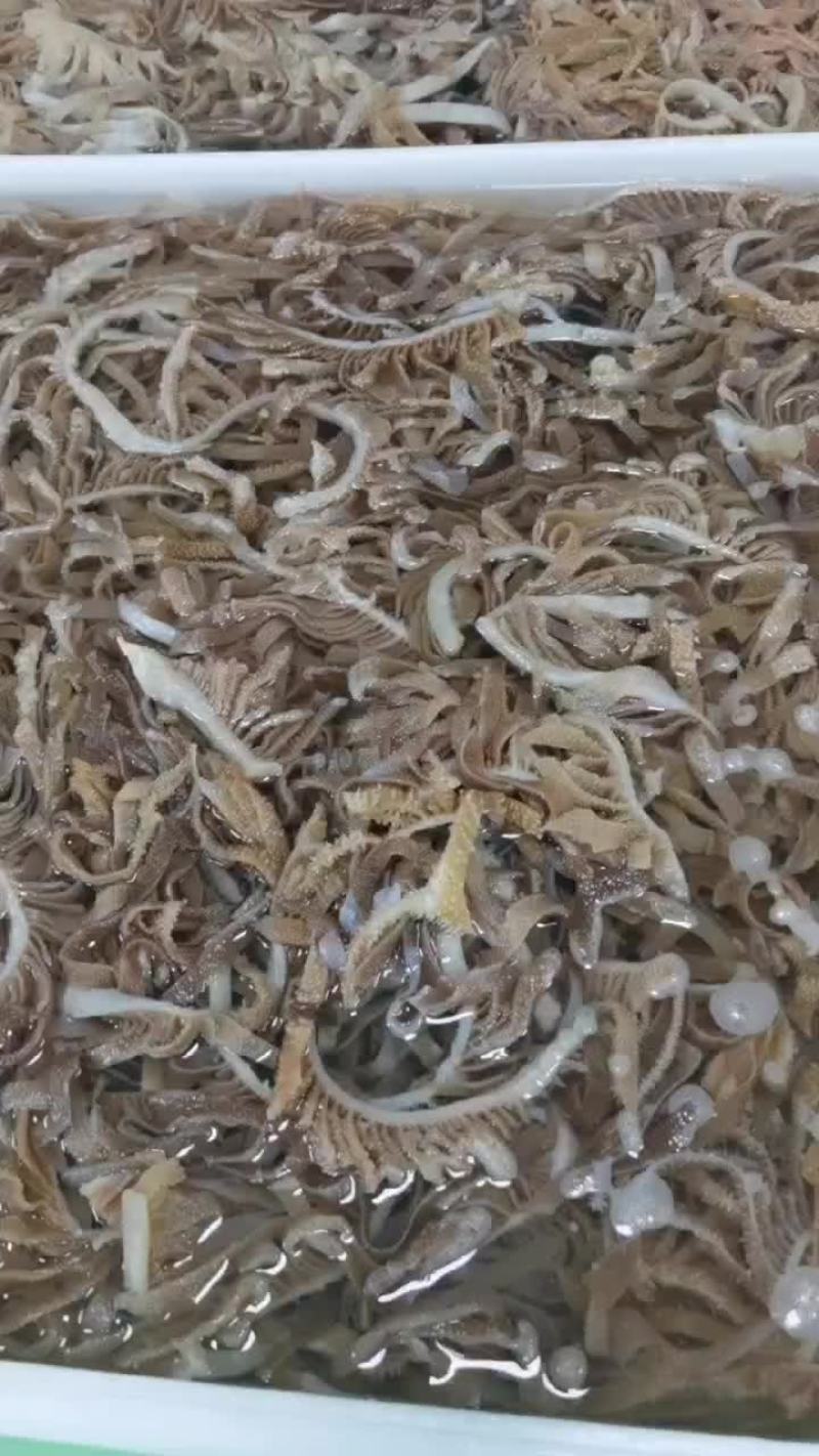 黑千层肚，火锅，中餐