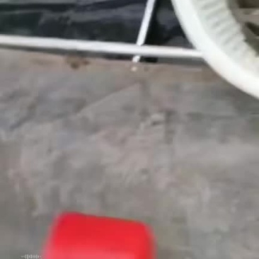 基围虾明虾