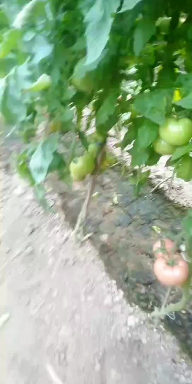 质优价廉