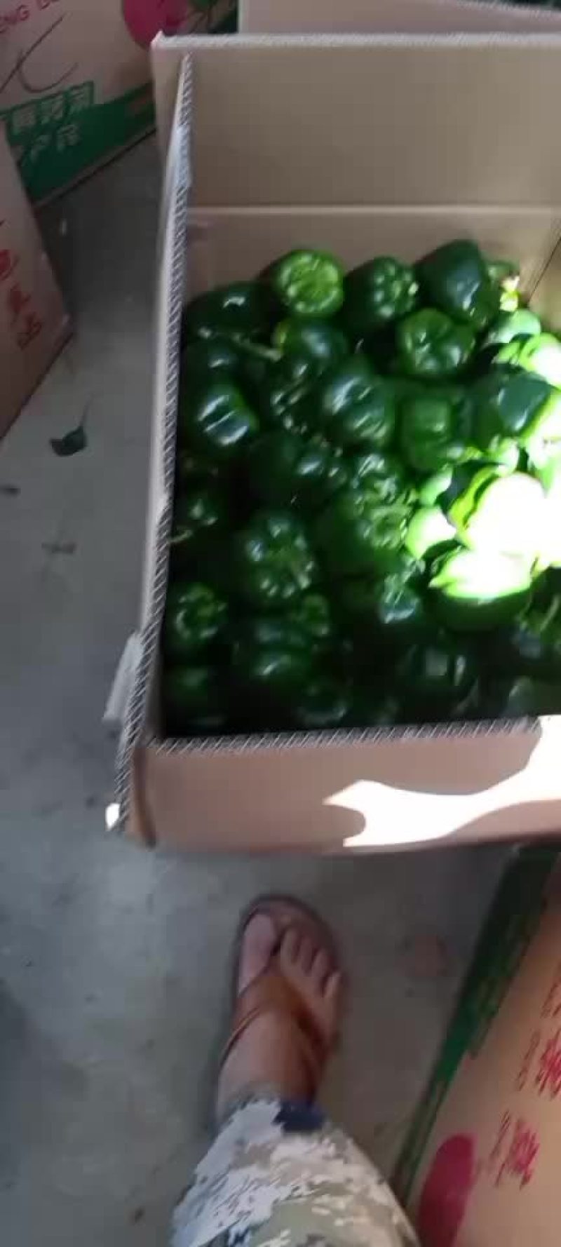 鲜辣椒