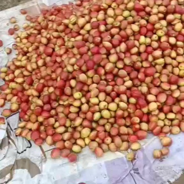 桃