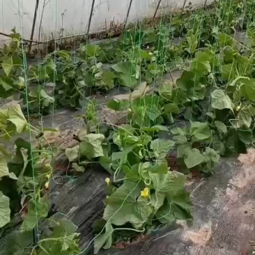 当