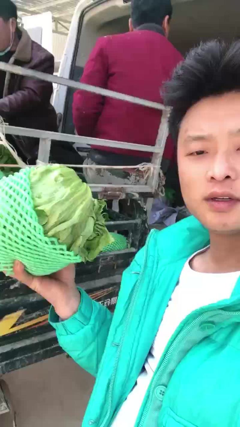 生菜大量上市，需要的老板可以联系