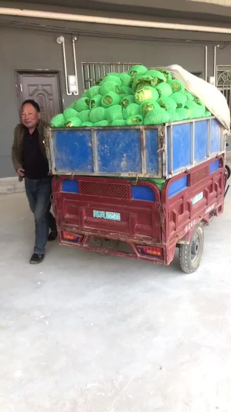 生菜大量上市，需要的老板可以联系