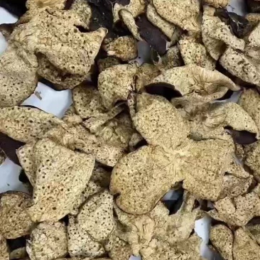 陈皮新会陈皮天马圈枝大红片