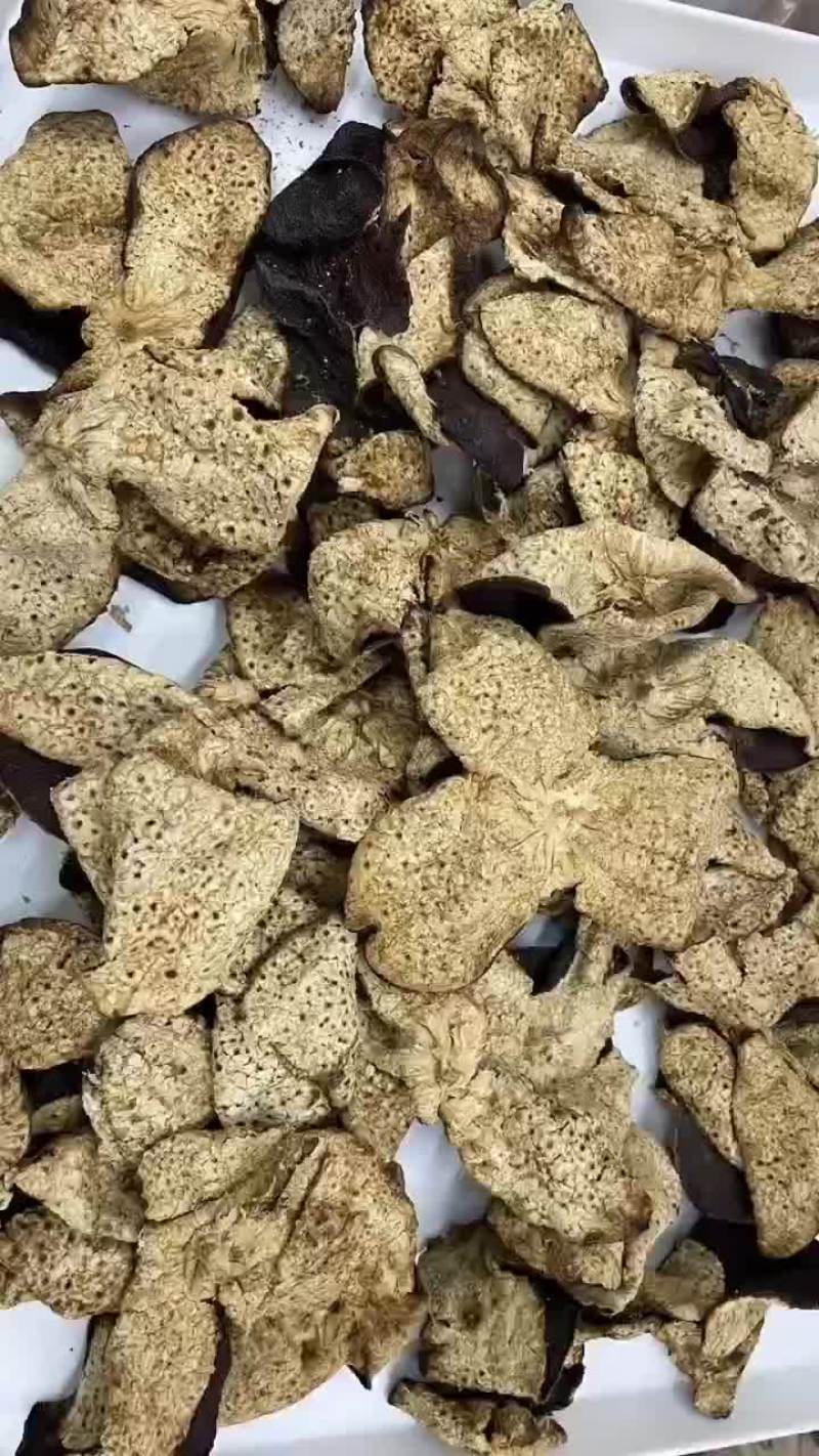 陈皮新会陈皮天马圈枝大红片