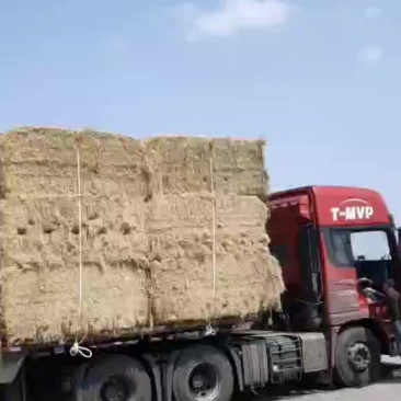 稻草大包柔丝小包柔丝克拉斯大包