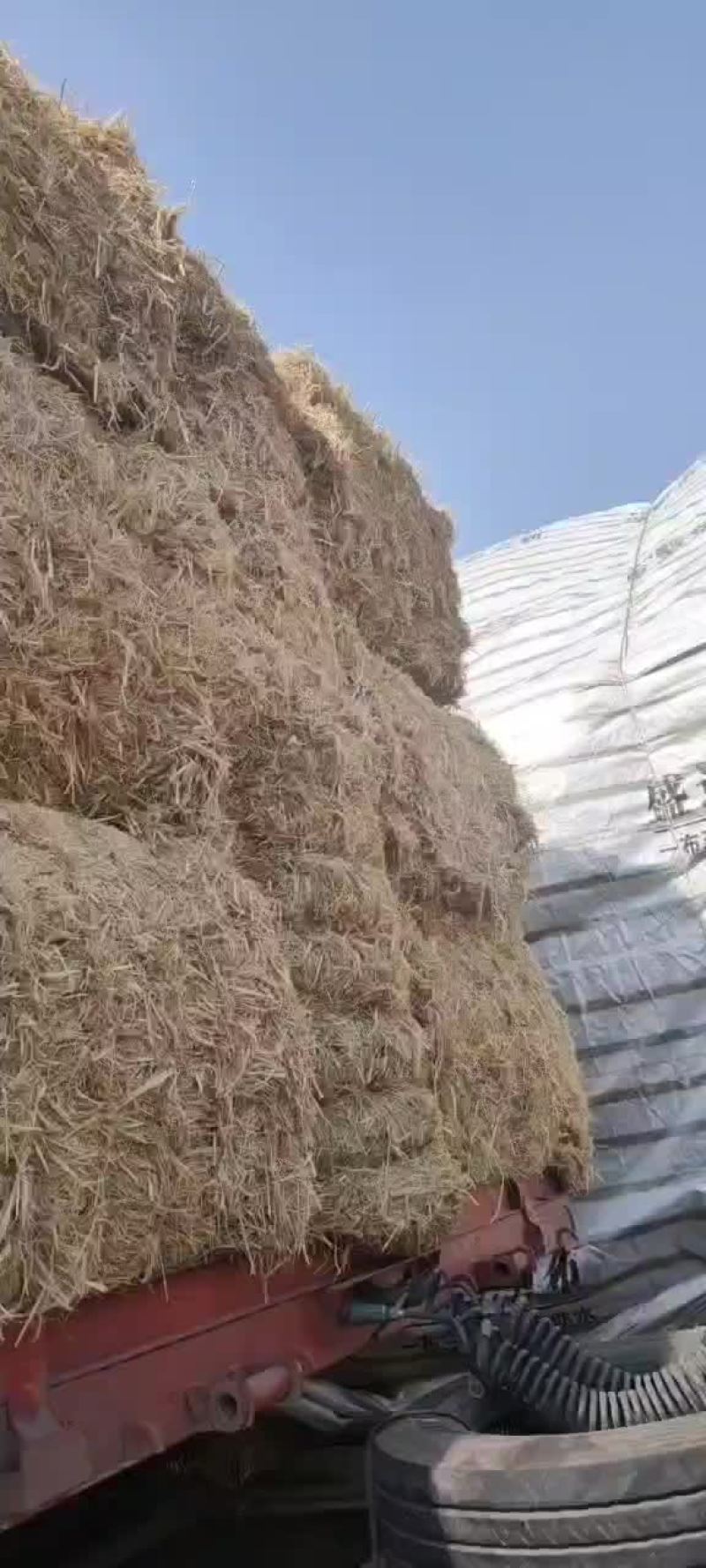 稻草大包柔丝小包柔丝克拉斯大包