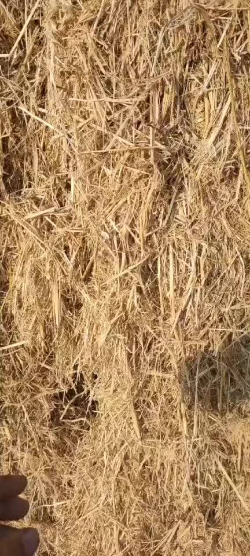 稻草大包柔丝小包柔丝克拉斯大包