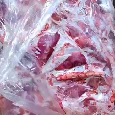 羊心肺