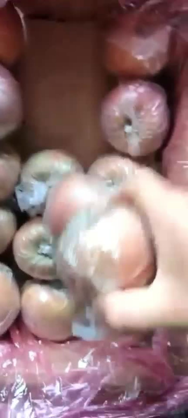 一手货源
