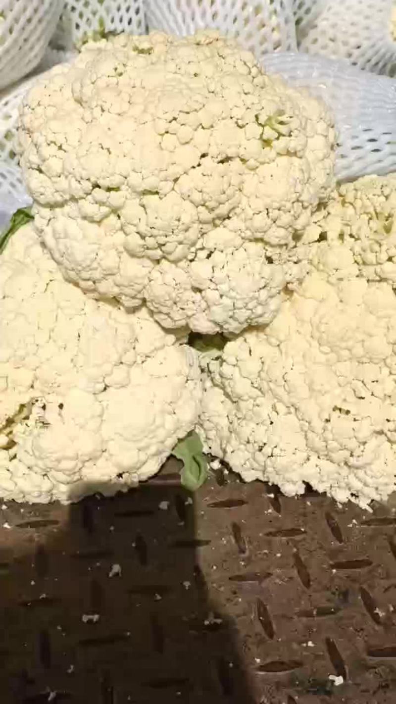 有机花专供