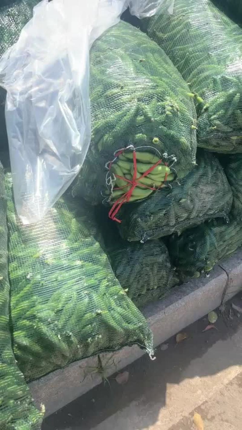 蚕豆